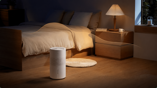 Xiaomi õhuniisutajad – parim kingitus sinu kodule sel talvel